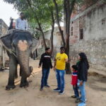 Jaipur: Full-Day city Tour By AC vehicle with Guide - Detailed Breakdown of the Itinerary