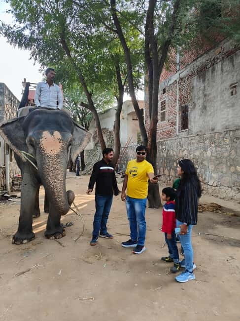 Jaipur: Full-Day city Tour By AC vehicle with Guide - Detailed Breakdown of the Itinerary