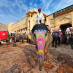 Jaipur: Full-Day Sightseeing Tour By Car with Guide - Spotting Jal Mahal from the Outside