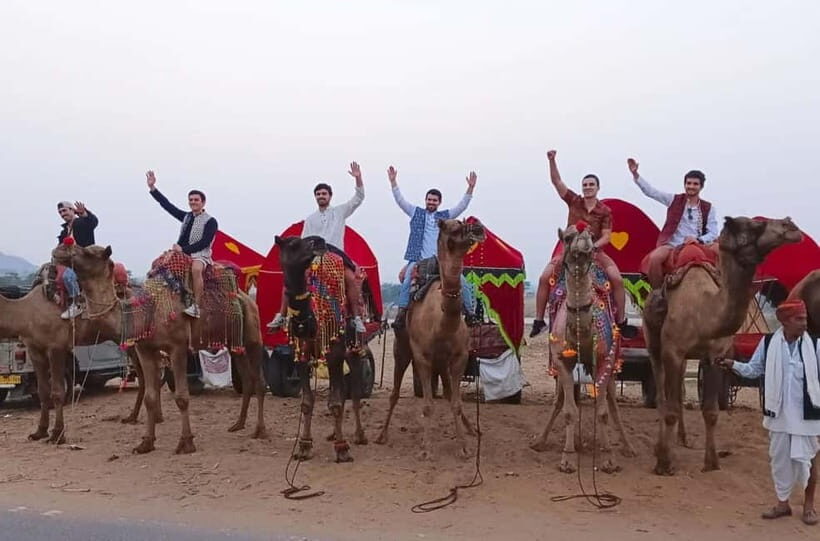 Jaipur: Pushkar Day Trip with Optional Camel Safari - Exploring the Itinerary: What’s Included and How It Feels