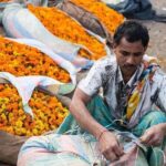 Jaipur Sunrise Tour with Morning Flower Market Walk - Who is this tour best suited for?
