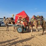 Jaipur to Puskar Same Day trip - The Practicalities and Value