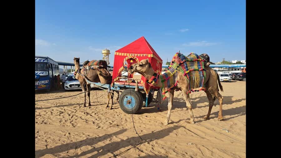 Jaipur to Puskar Same Day trip - The Practicalities and Value