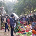 Jaipur Tour with Monkey Temple and Block Print Experience - Practical Considerations and Value