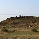 Jaisalmer: Sam Sand Dunes Sunset Tour with Camel Ride - Practical Tips for a Smooth Experience