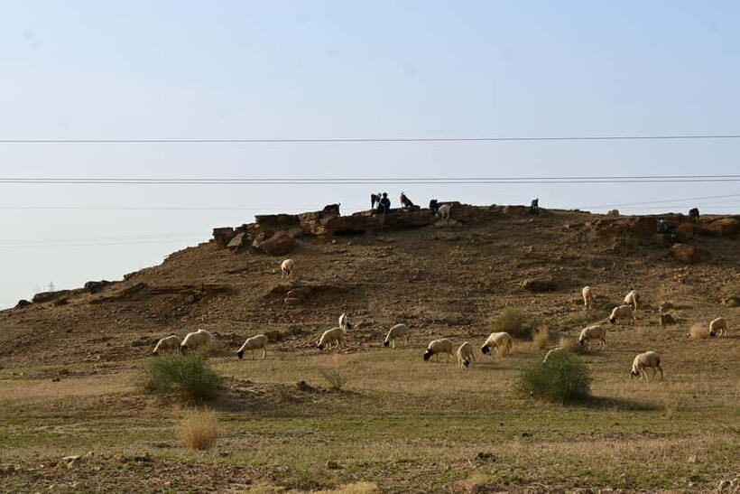 Jaisalmer: Sam Sand Dunes Sunset Tour with Camel Ride - Practical Tips for a Smooth Experience