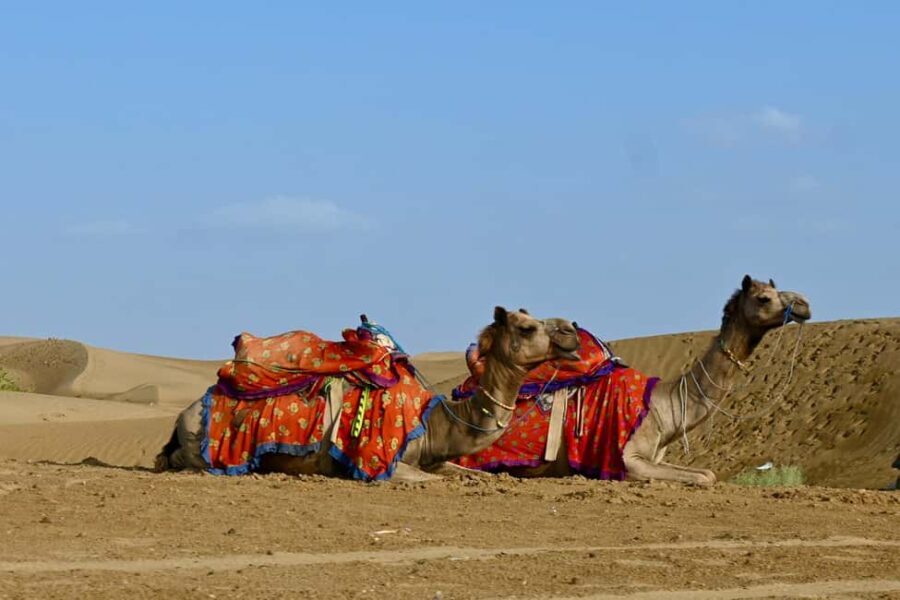 Jaisalmer: Thar Desert Sunset Camel Ride with Dinner & Show - Practical Details and What It Means for You
