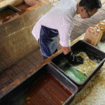 Jakarta Old Town with Batik Workshop - The Authentic Experience: Insights from Reviewers