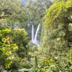 Jakarta: Rainforest Hiking to Waterfall & Suspension Bridge - What the Tour Includes and Practical Tips