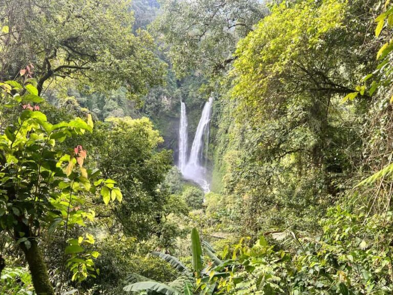 Jakarta: Rainforest Hiking to Waterfall & Suspension Bridge - What the Tour Includes and Practical Tips