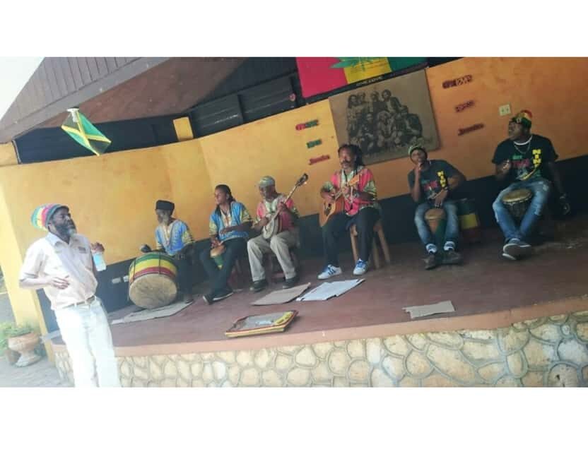 Jamaica: Reggae Roots & Grotto Wonders Tour - Who Will Enjoy This Tour?