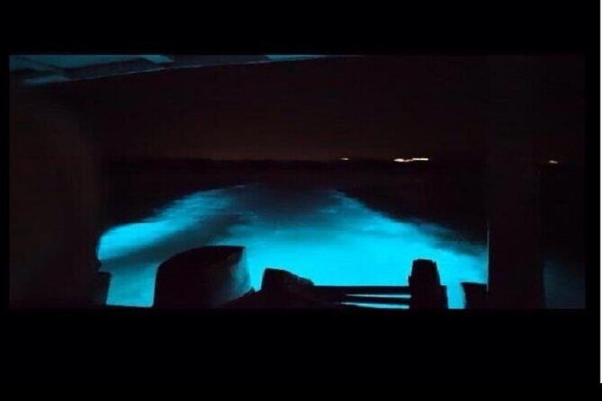 Jamaica's Luminous Lagoon Night Tour - The Sum Up