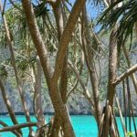 Jamesbond Island Canoeing Trip by Big Boat - Why the Trip Works: A Detailed Breakdown