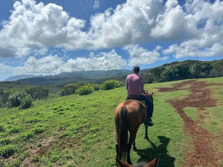 Jarabacoa: Private Baiguate Waterfall Horseback Riding Tour - What to Expect During the Tour