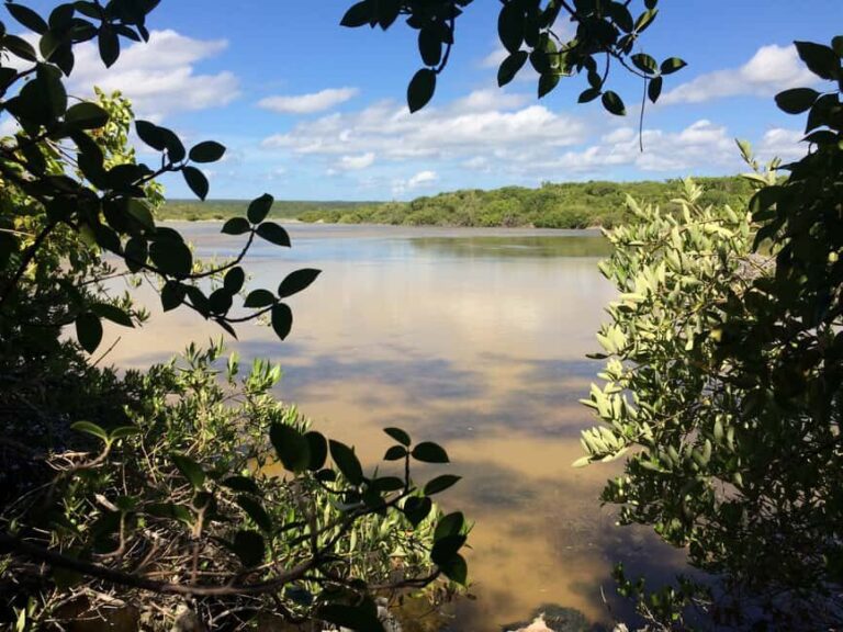Jaragua National Park: Explore Laguna de Oviedo - Practical Details and Tips