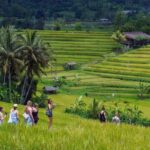 Jatiluwih Spiritual Journey of Melukat with Rice Terrace View - Authentic Insights from Reviewers