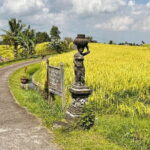 Jatiluwih's Rice Field Terraces: A Scenic Self-Guided Audio Tour - Is This Tour Worth It?