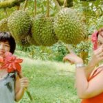 JEEP JUNGLE SAFARI Around Koh Samui(Eco Friendly)including Lunch - Who Should Consider This Tour?