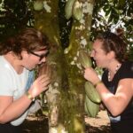 Jeep Jungle tour(Punta cana) - The Transportation and Group Dynamics