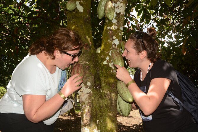 Jeep Jungle tour(Punta cana) - The Transportation and Group Dynamics