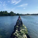 Jeju East: K-Drama Filming Spots Tour with Hotel Pickup - Who Would Love This Tour?