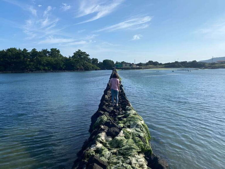 Jeju East: K-Drama Filming Spots Tour with Hotel Pickup - Who Would Love This Tour?