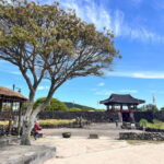 Jeju: East of Jeju Island Bus Tour from Seogwipo City - What Travelers Say: Authentic Insights