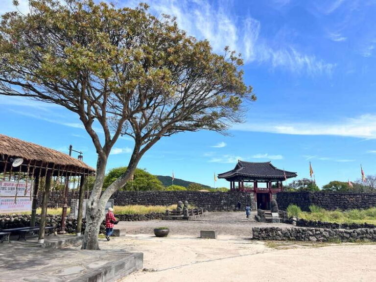 Jeju: East of Jeju Island Bus Tour from Seogwipo City - What Travelers Say: Authentic Insights