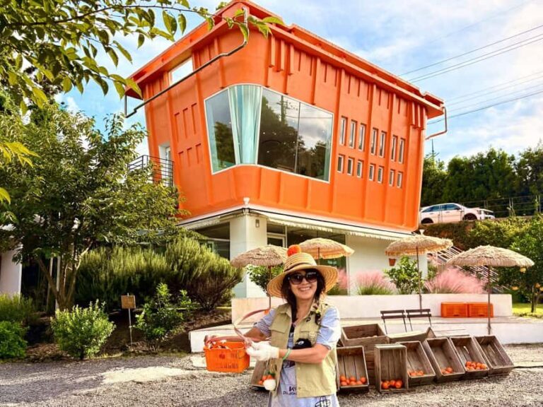 Jeju East: Small Group Healing Tour w/Woman Divers Show - A Complete Breakdown of the Tour: What You Can Expect