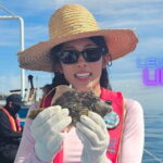 Jeju Hidden Gem Sea Boat Fishing Tour with Lunch - Who Will Love This Tour?