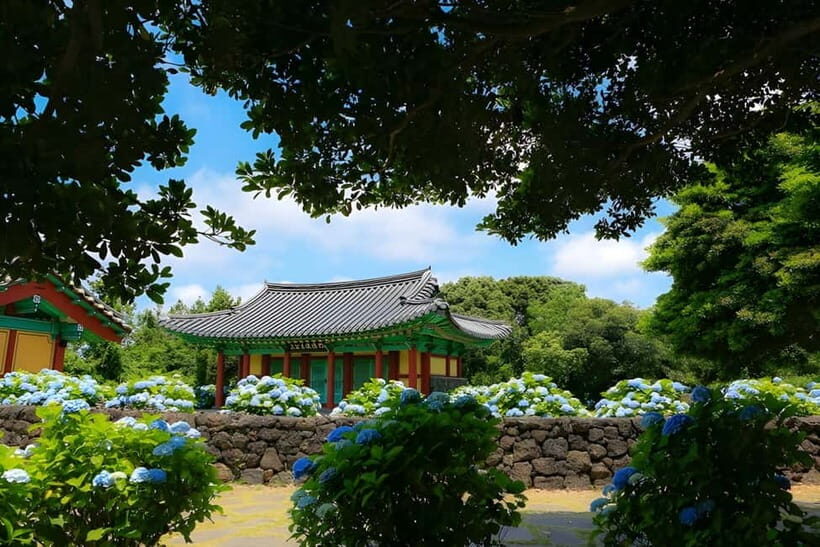 Jeju Hydragea Festival Tour : EAST Route - FAQ