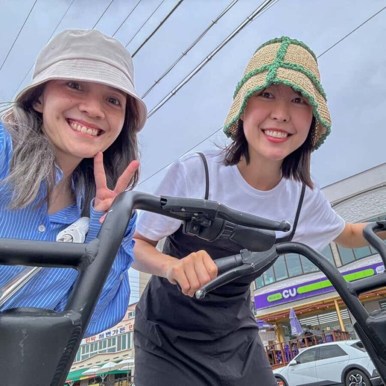 Jeju Island: 1 Day Private Tour - Who Should Consider This Tour?