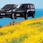 Jeju Island: Private Car Charter Tour - What Makes This Tour Stand Out?