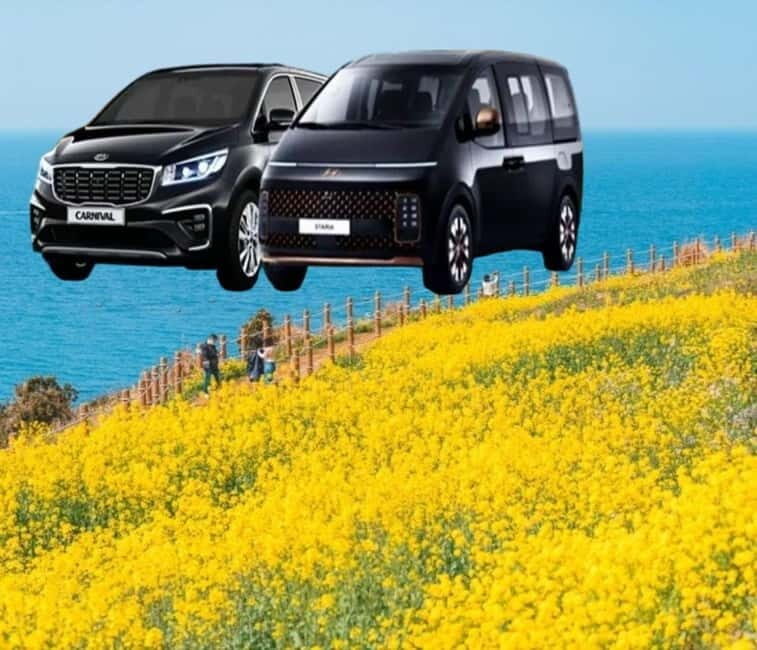 Jeju Island: Private Car Charter Tour - What Makes This Tour Stand Out?