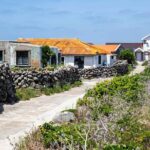 Jeju Island Private Car Tour with Expert Driver - What You Can Expect from the Experience