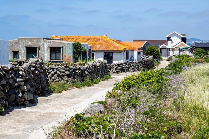 Jeju Island Private Car Tour with Expert Driver - What You Can Expect from the Experience