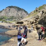 Jeju Island Private Charter Regular Taxi Tour and Free Schedule - Transportation and Guide Experience