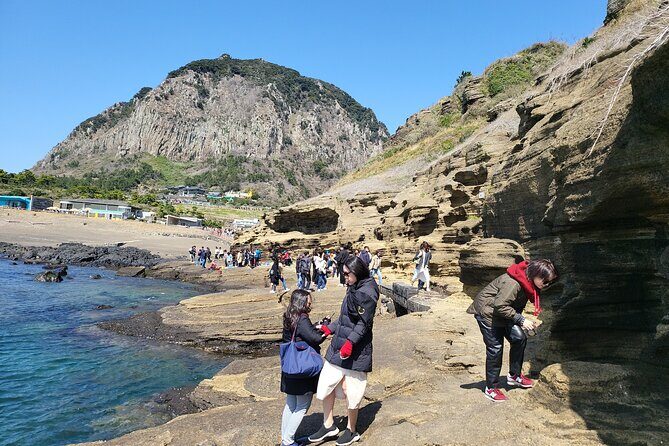 Jeju Island Private Charter Regular Taxi Tour and Free Schedule - Transportation and Guide Experience