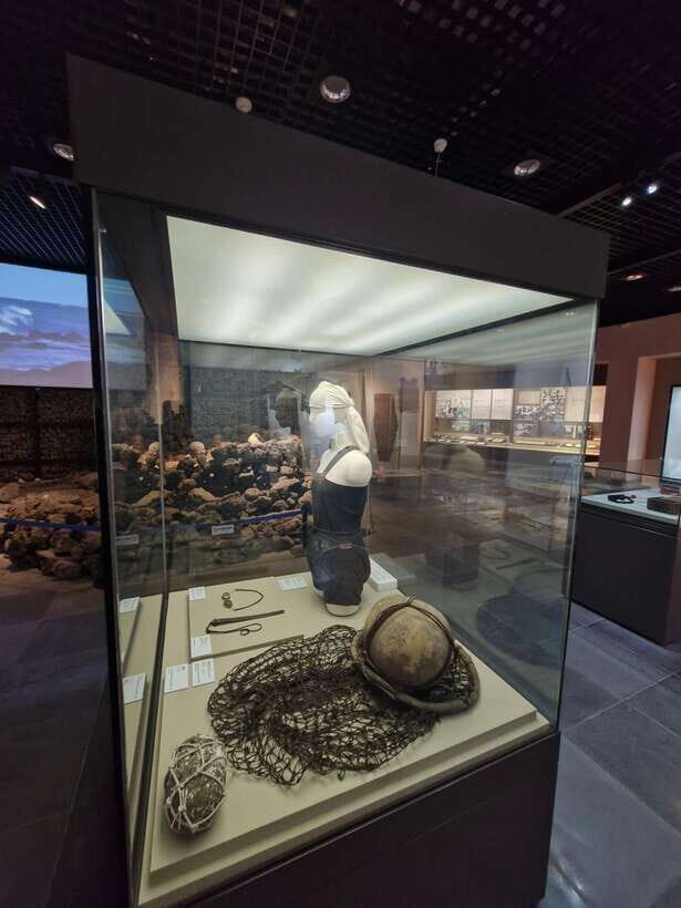 Jeju Island: Private Tour with Driving guide - What’s the Real Value?