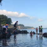 Jeju island: Van tour with a guide who the most loves JEJU - What to Expect from the Tour