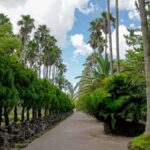 Jeju: Premium Small Group UNESCO Day Tour - West Coast - What Makes This Tour Stand Out?