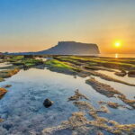 Jeju Private Car Charter Tour - What’s Included and What to Keep in Mind