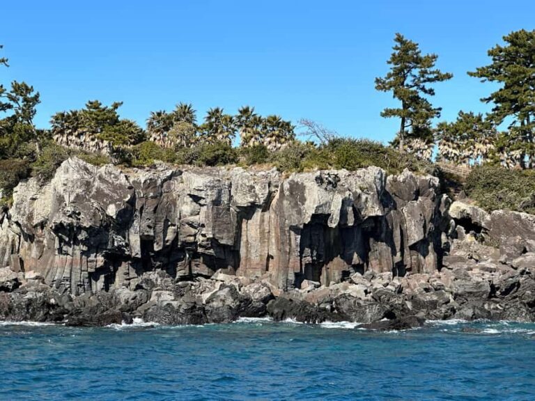 Jeju Small Group Tour incl. Yacht Cruise, Falls & Mt.Halla - Practical Details and Why They Matter