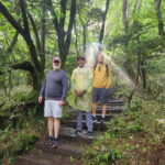 Jeju: Southern Top UNESCO Spots Tour - Transportation & Comfort