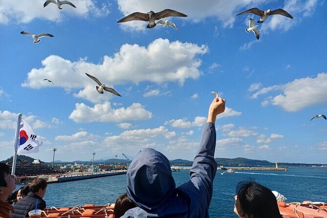 Jeju Udo Electric Bike and Seongsan Ilchulbong Private Tour - The Sum Up