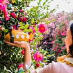 Jeju: UNESCO Heritage Sites Authentic Day Tour(Western) - The Itinerary Breakdown