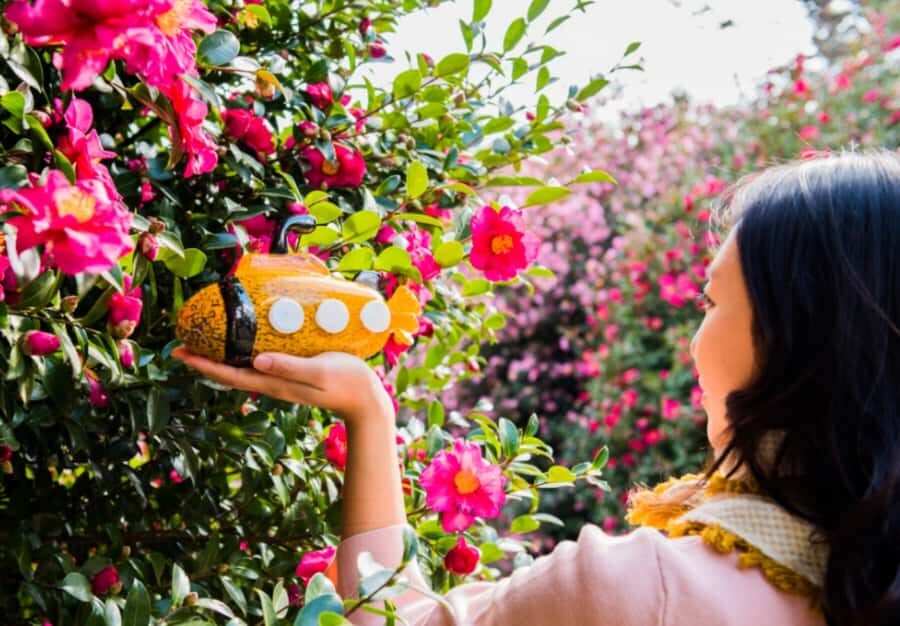 Jeju: UNESCO Heritage Sites Authentic Day Tour(Western) - The Itinerary Breakdown