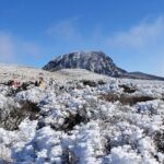 Jeju WEST&SOUTH One Day Tour with MT.halla & UNESCO - The Sum Up