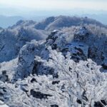 Jeonju Hanok Village and Daedunsan Serenity Nature Tour - What Makes This Tour Stand Out