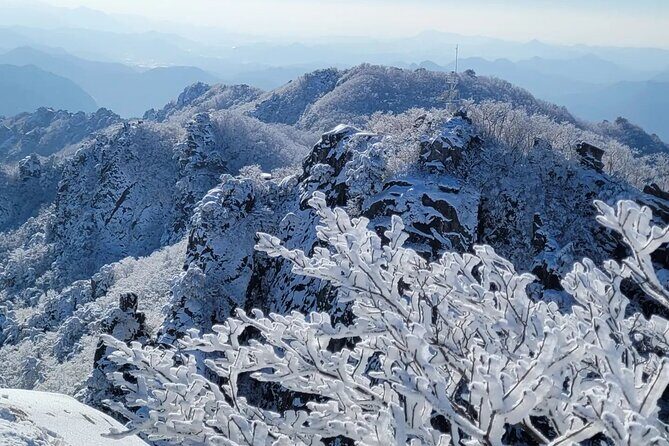 Jeonju Hanok Village and Daedunsan Serenity Nature Tour - What Makes This Tour Stand Out